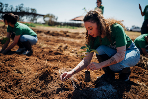 mulher plantando árvore