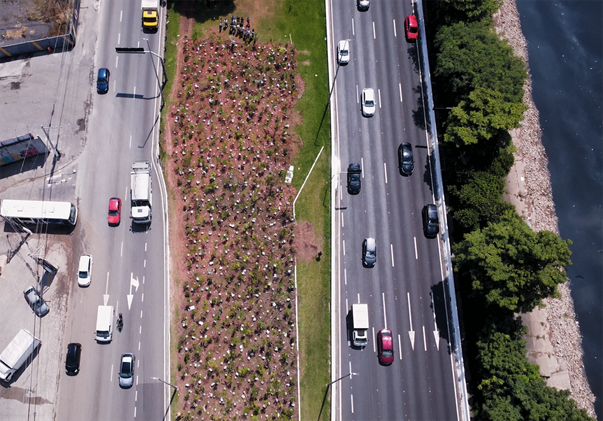 Microfloresta Heineken em São Paulo. Foto: divulgação Fresta Filmes.