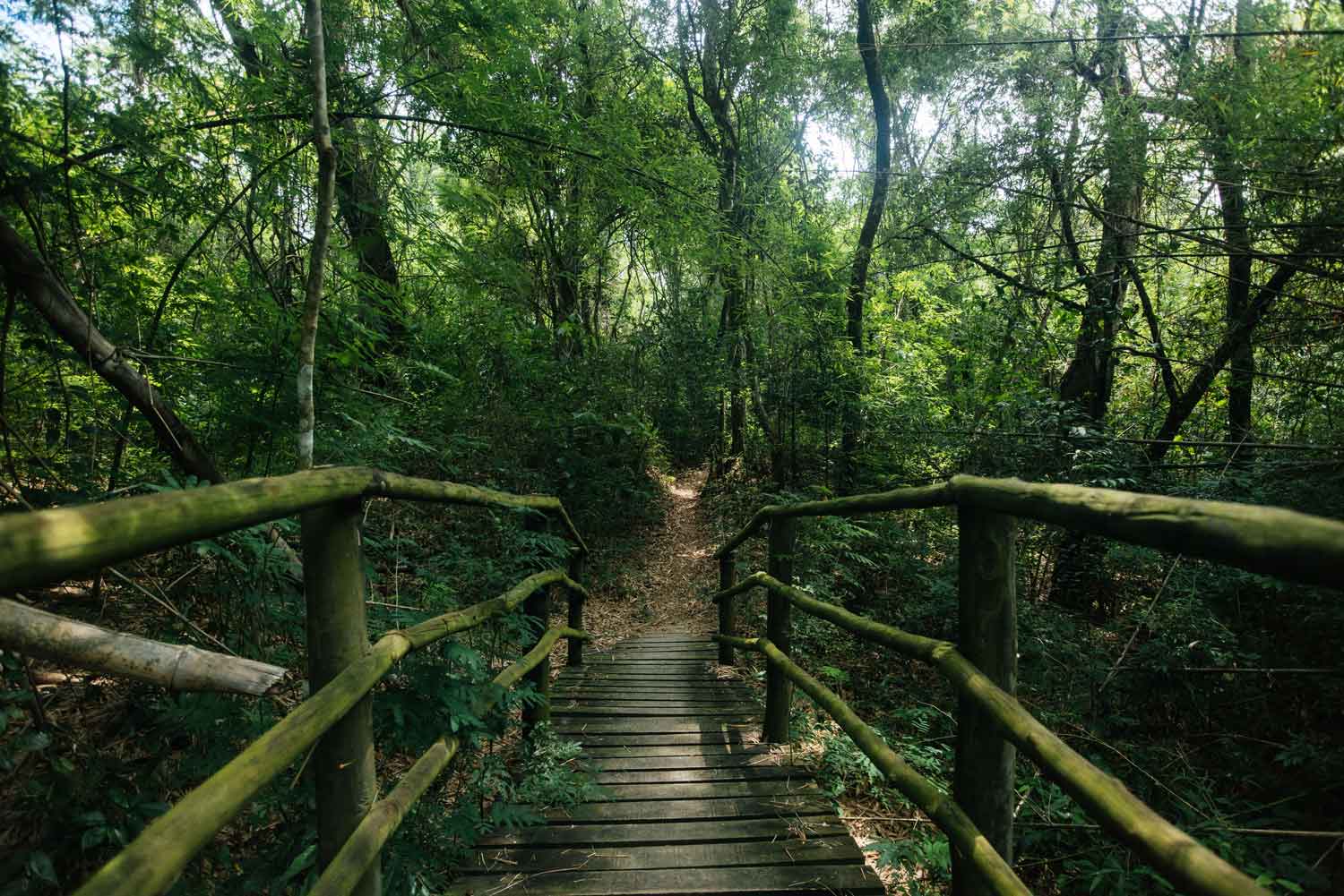 Natureza